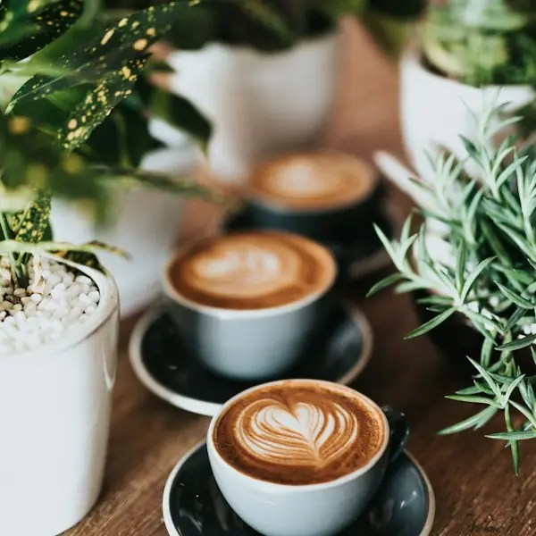 Coffee